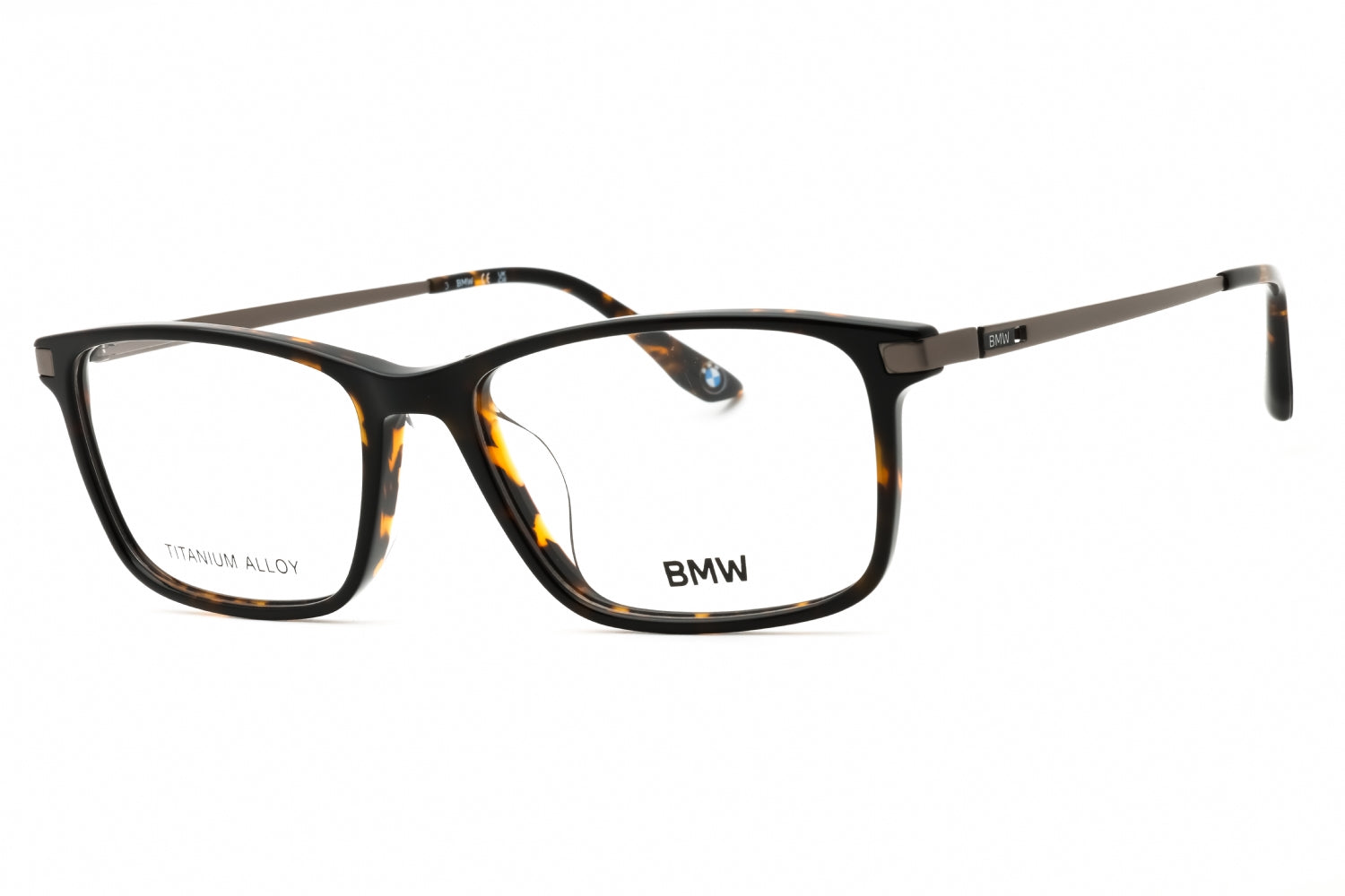 BW5073-H