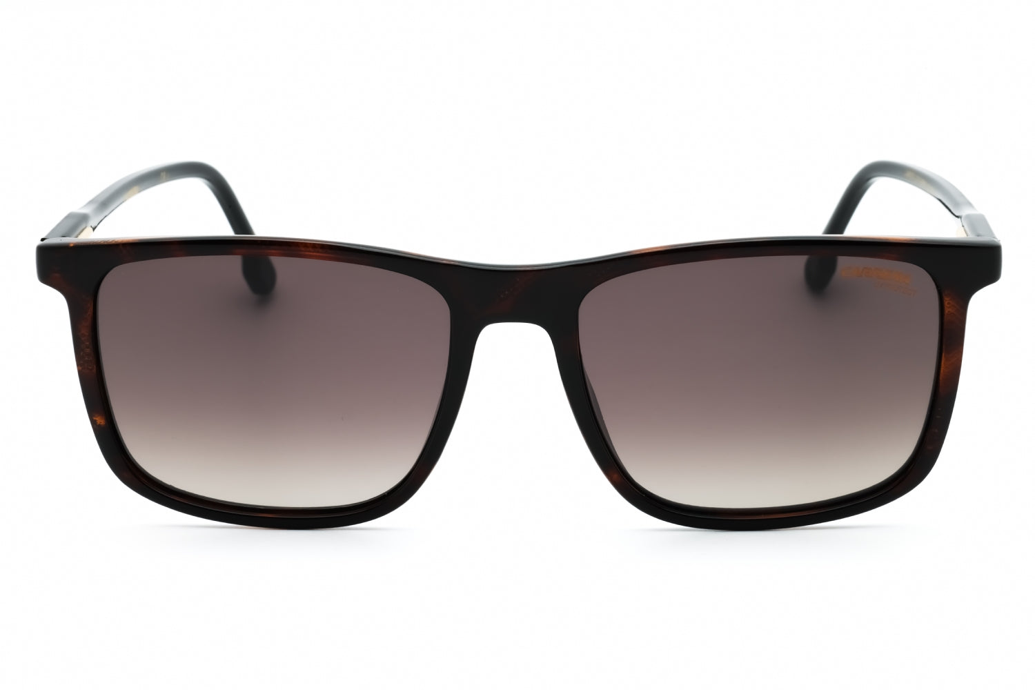 Carrera Carrera 231/S